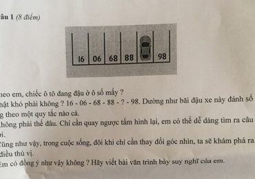 Câu hỏi Toán vào đề thi học sinh giỏi Ngữ văn ở Sài Gòn