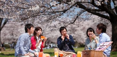 Những nguyên tắc để không ‘mất mặt’ khi đến Nhật Bản ngắm anh đào