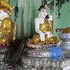 Ngôi chùa chuyên nuôi trăn thách thức du khách ở Myanmar
