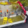 500 công nhân tháo dỡ đường hoa Nguyễn Huệ