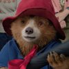 Phiêu lưu đến Amazon cùng Paddington trong mùa Tết 2025