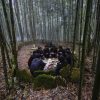 Lễ cúng rừng độc đáo của người Hà Nhì
