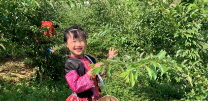 Mina Phạm – Cô bé 6 tuổi lại ‘gây bão’ vì nói tiếng Anh ‘chuẩn không cần chỉnh’
