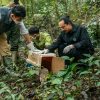 Kết nối duyên lành và hành động vì thiên nhiên